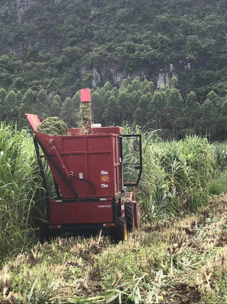 新款秸秆青储收获机出售