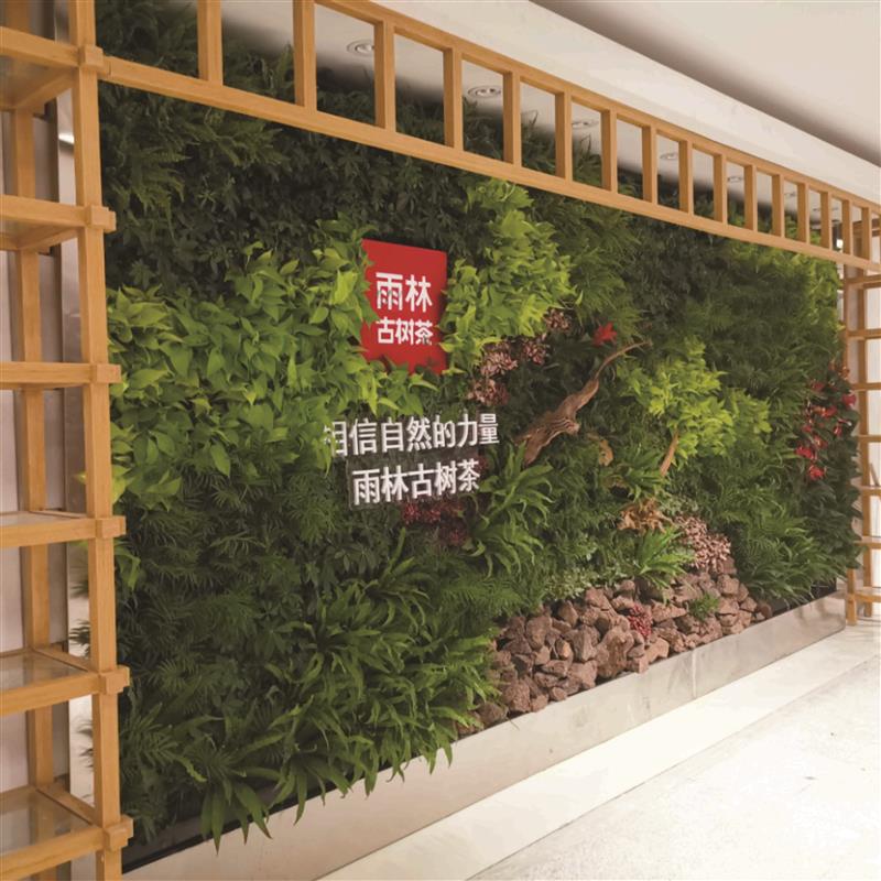 南京室外植物墙花盆报价