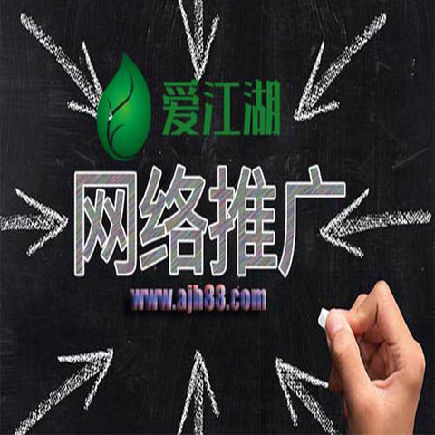 揭阳全网推广费用