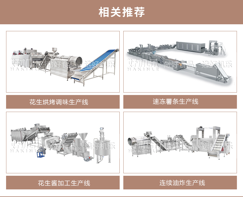 河南果仁烘烤机械