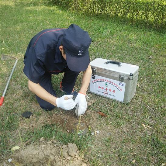 凉山装修白蚁防治报价