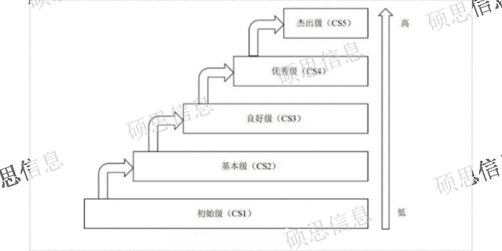 上海项目CS信息系统建设和服务能力评估评估,CS信息系统建设和服务能力评估