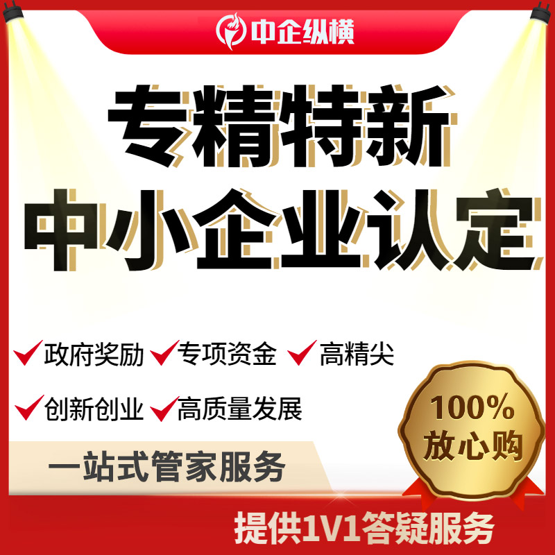 北京国家专精特新企业认定审计报告