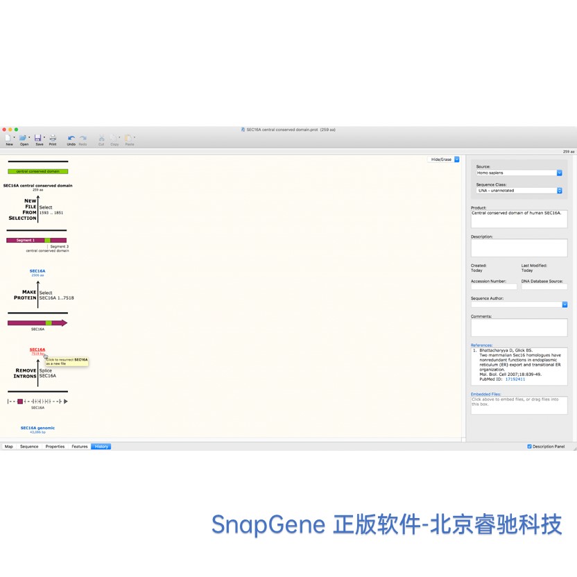 广东SnapGene软件教程
