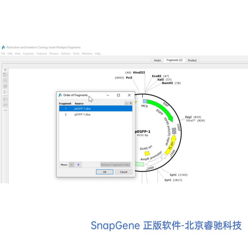 SnapGene软件正版