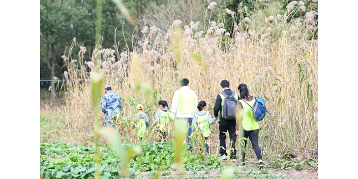 江苏教育夏令营哪家专业,夏令营