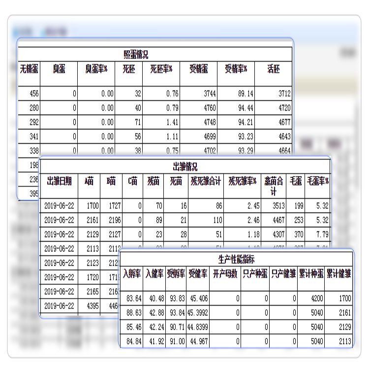 泰安屠宰管理软件供应