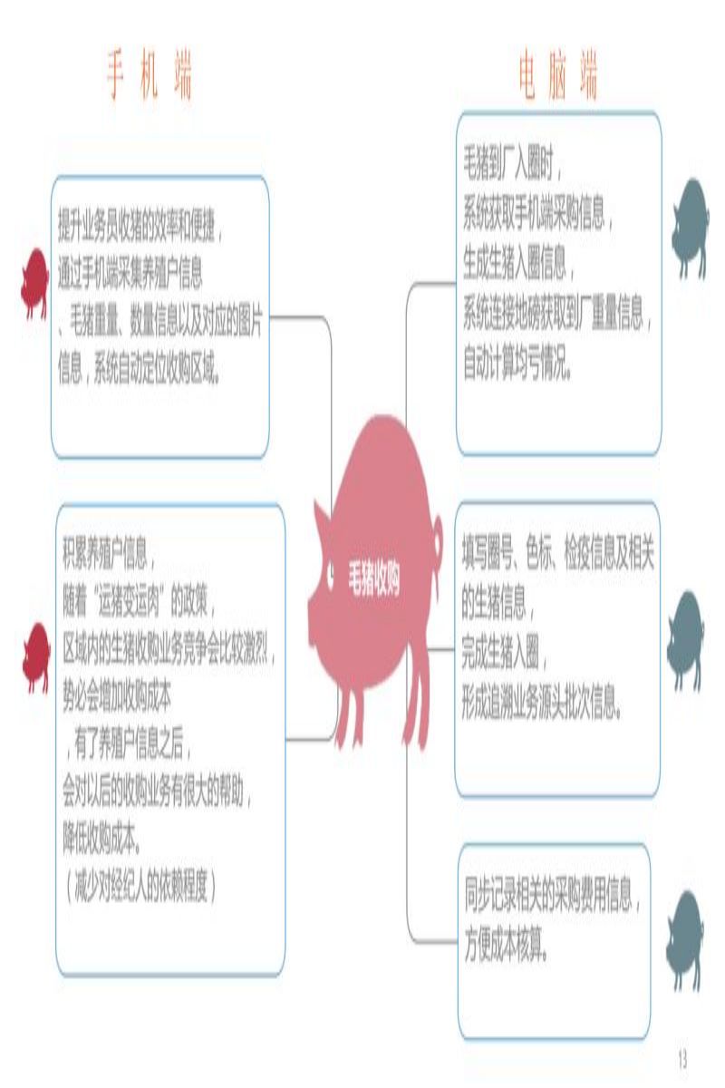 池州屠宰企业管理软件厂