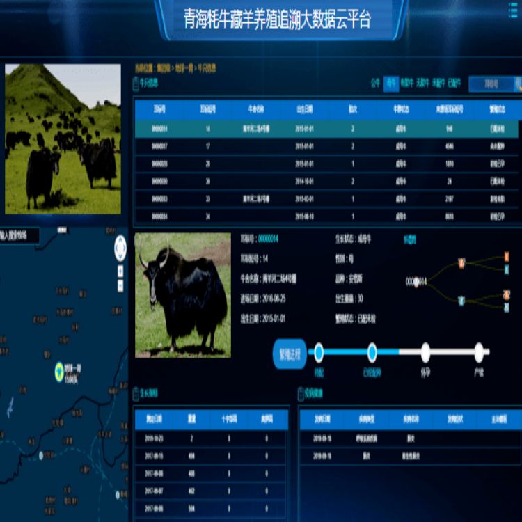 池州屠宰企业管理软件厂