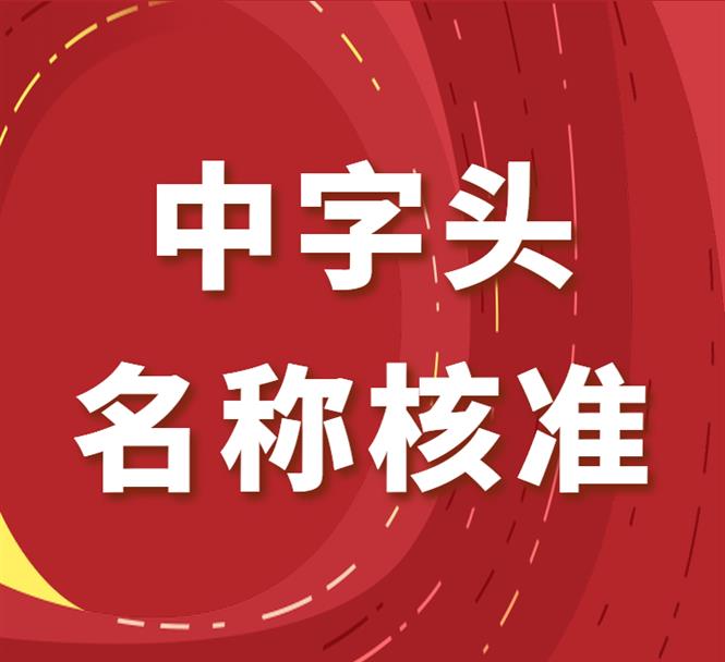 郑州无行政区划总局核名