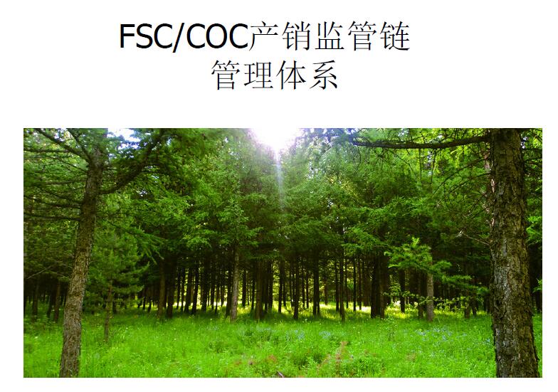 深圳FSC森林认证机构