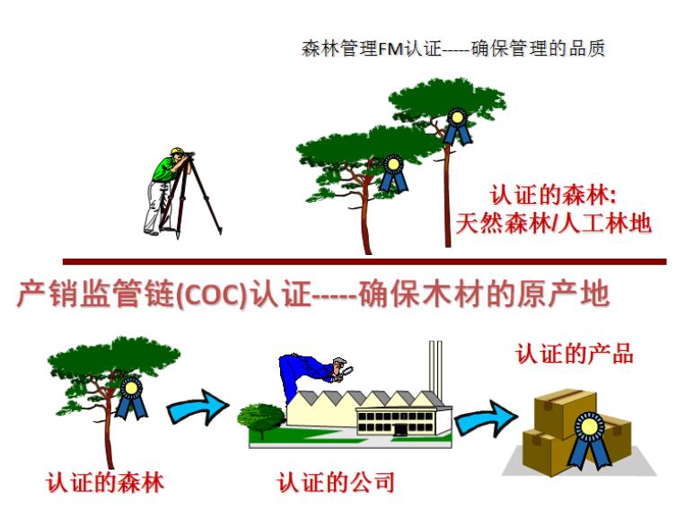 深圳FSC森林认证机构 FSC认证 专业认证 高效咨询