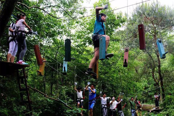 平顶山学生丛林探险设施