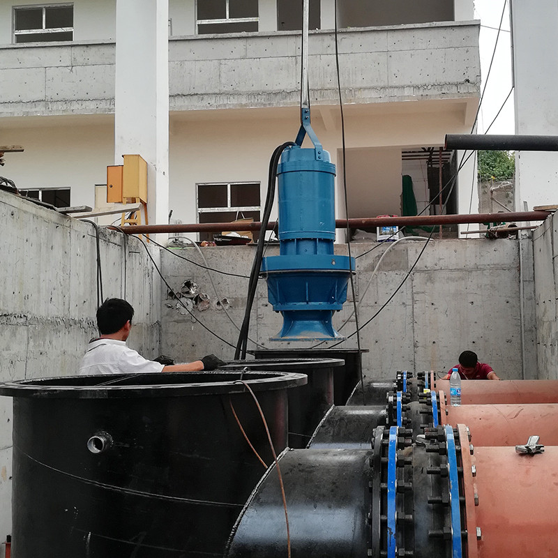吉林省350QZB-100D井筒式潜水轴流泵_潜水轴流泵