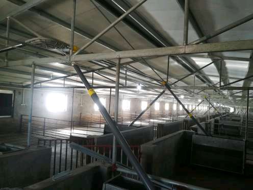 山东自动化养猪厂塞盘料线设备安装 养鸭用
