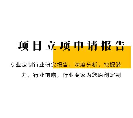 干混砂浆项目可行性研究报告-可研报告书-千元起做