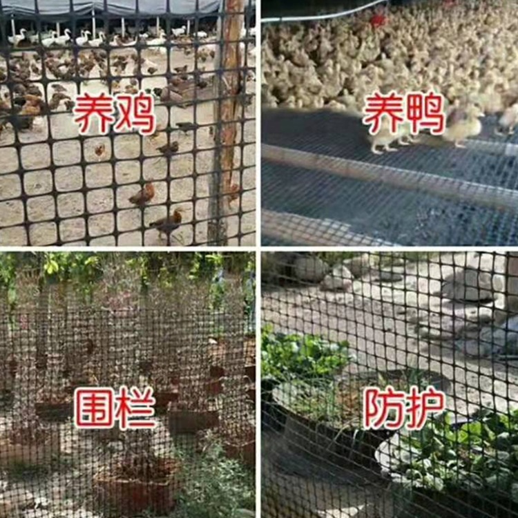 江西土工格栅