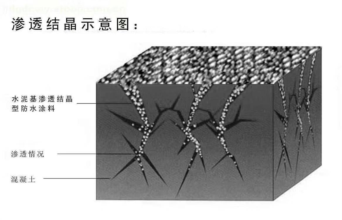 东莞水泥基渗透结晶防水涂料品牌