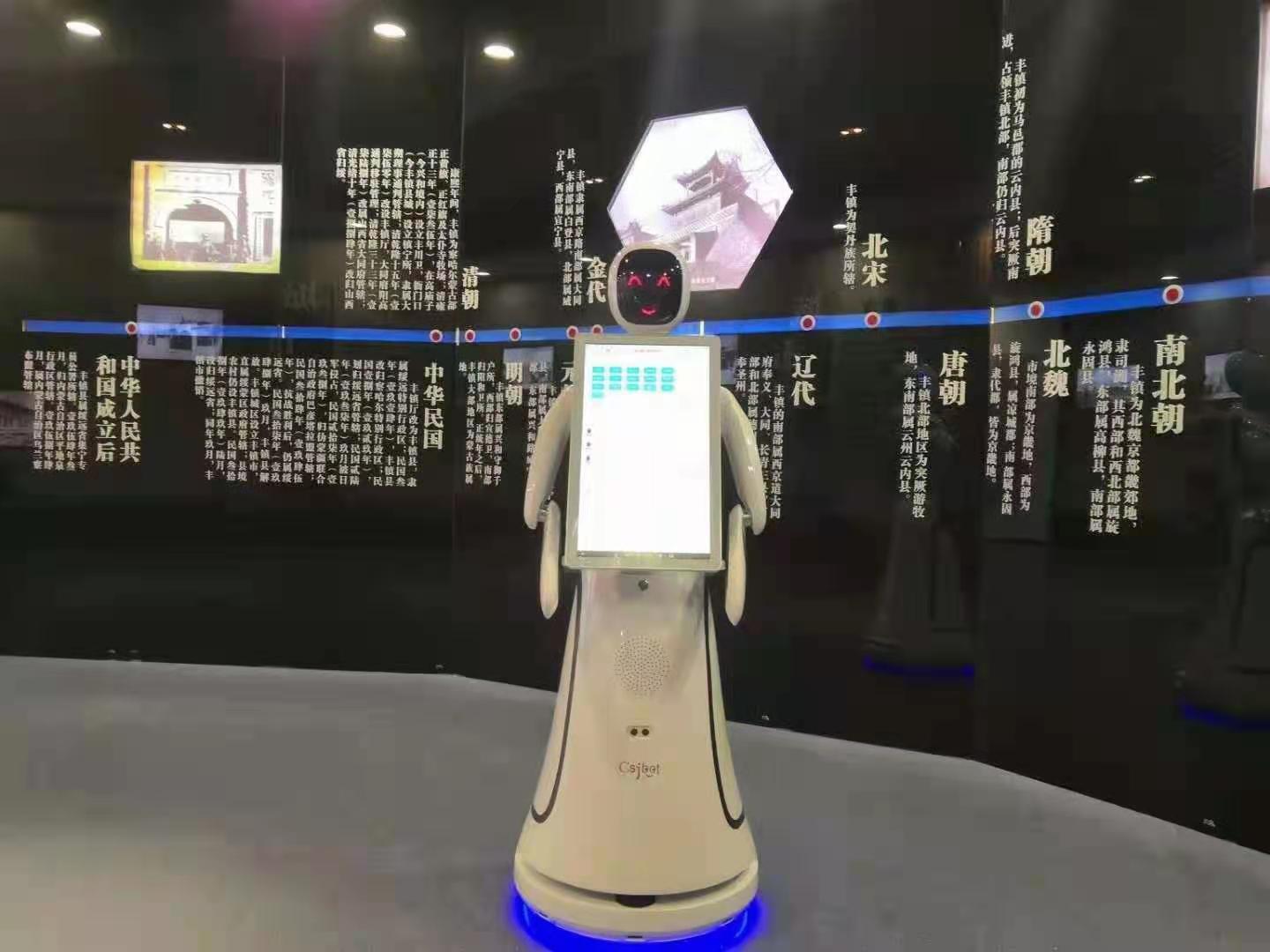 河北展馆接待机器人生产厂家