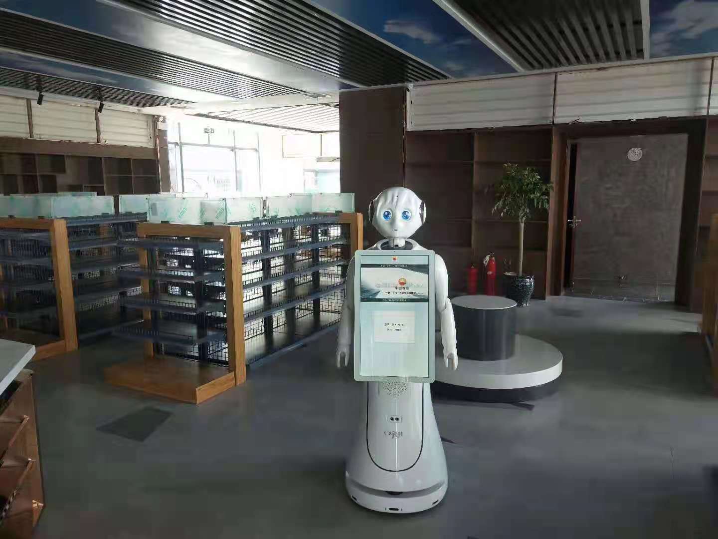 北京机器人公司(国内机器人最好的公司)