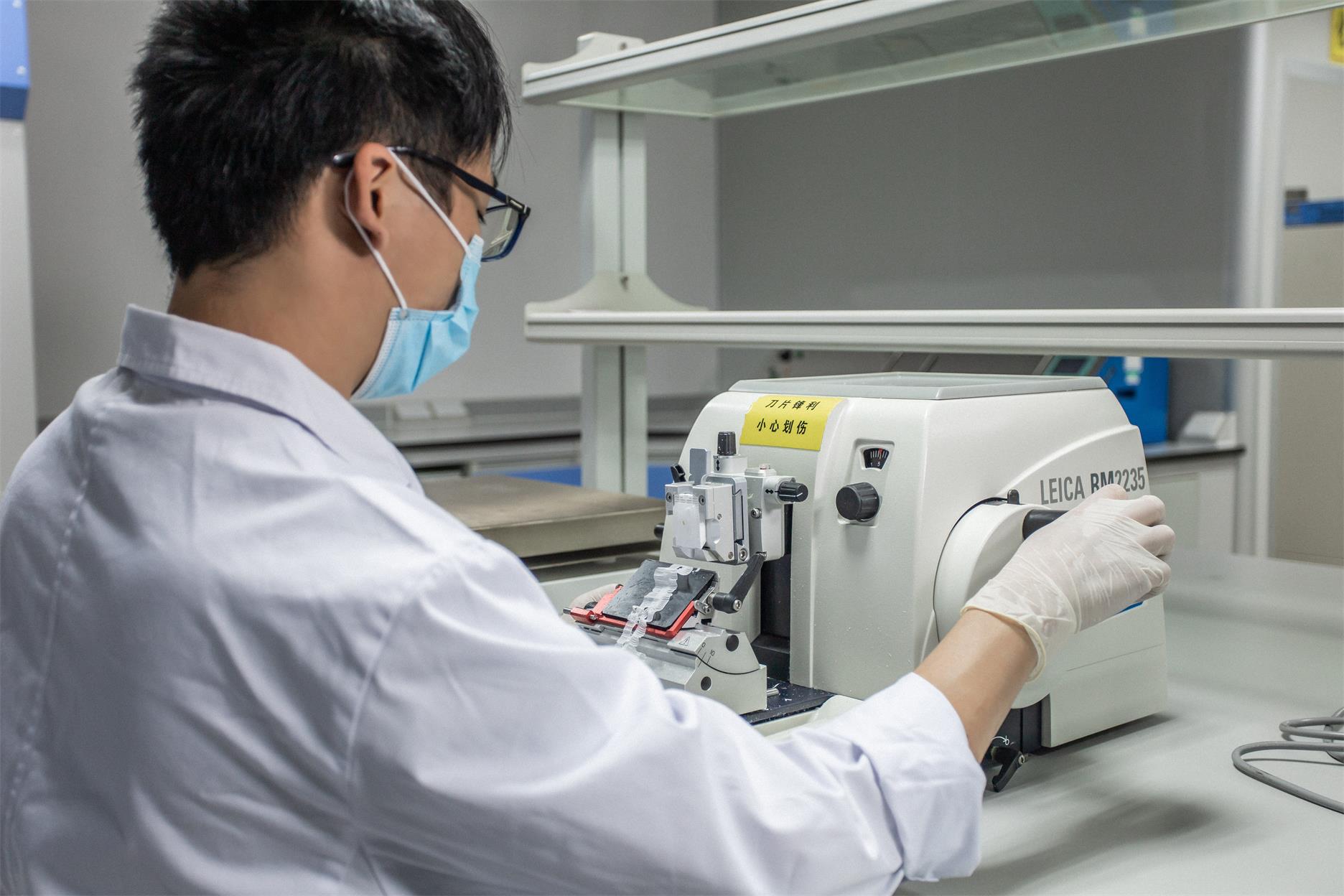 女性抗抑菌微核试验 消毒器械检测 广州市微生物研究所