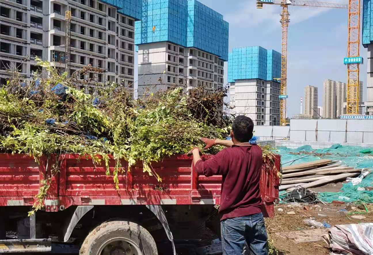 南开区附近渣土清运费用