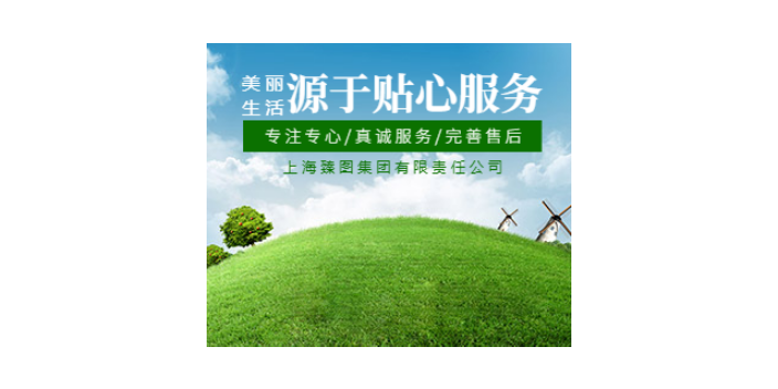 和平区营销网站搭建商家 欢迎来电 辽宁珍云信息供应