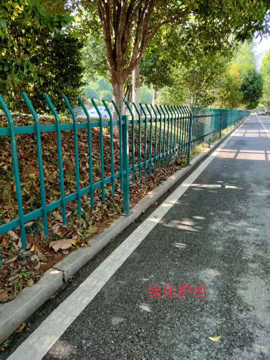 防雨锌钢绿化栏杆安装图片 专注生产销售交通安全设施