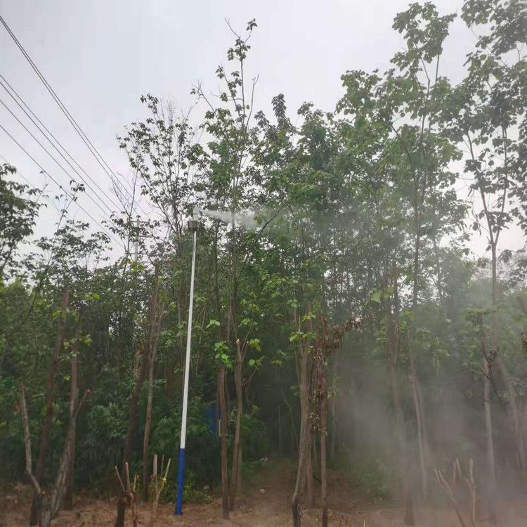 自贡高空喷雾
