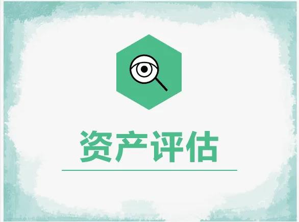 我想注册天津价格评估公司带法人股