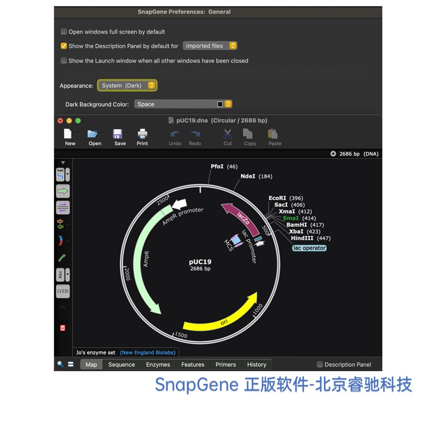 陕西SnapGene软件序列号