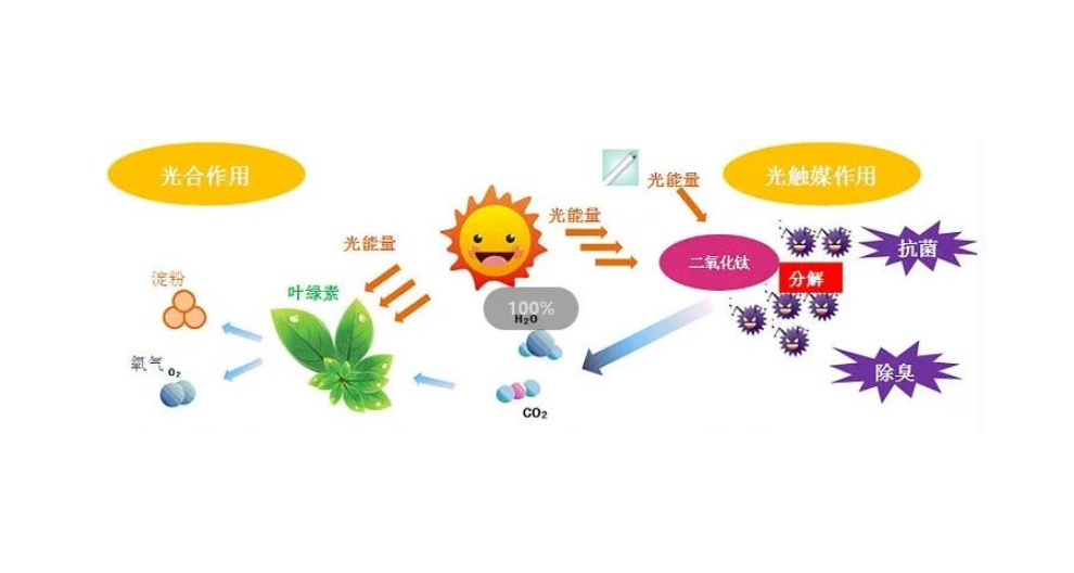 沈阳光触媒在哪里买,光触媒