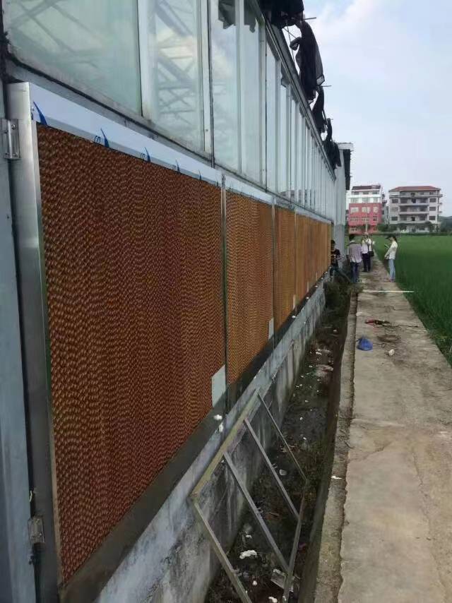 漳州一体式水帘墙安装哪里有方案设计