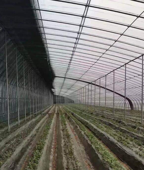 大兴区新型农业温室大棚设计