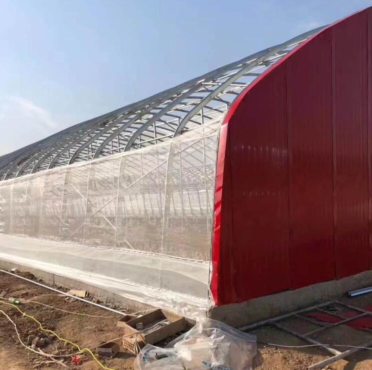 阳泉新型阳光板温室大棚制造