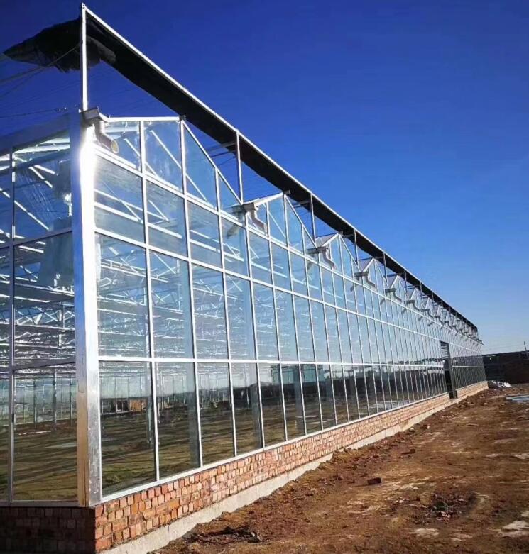 内蒙古玻璃温室蔬菜大棚安装