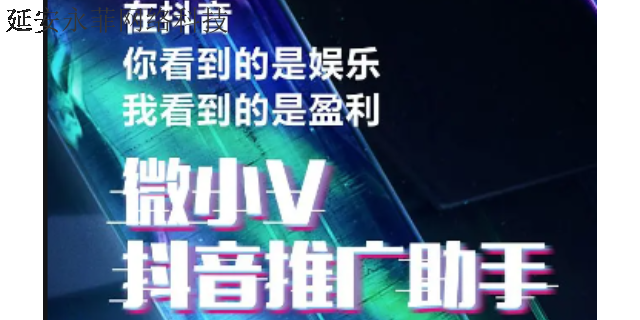 陕西**推广怎么收费 诚信为本 延安市永菲网络科技供应