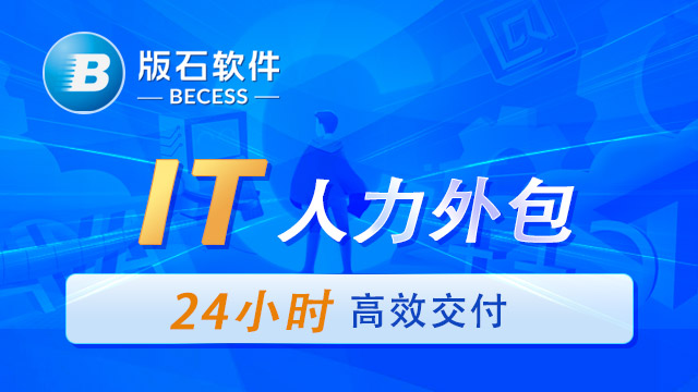 四川本地it人员外包供应商,it人员外包