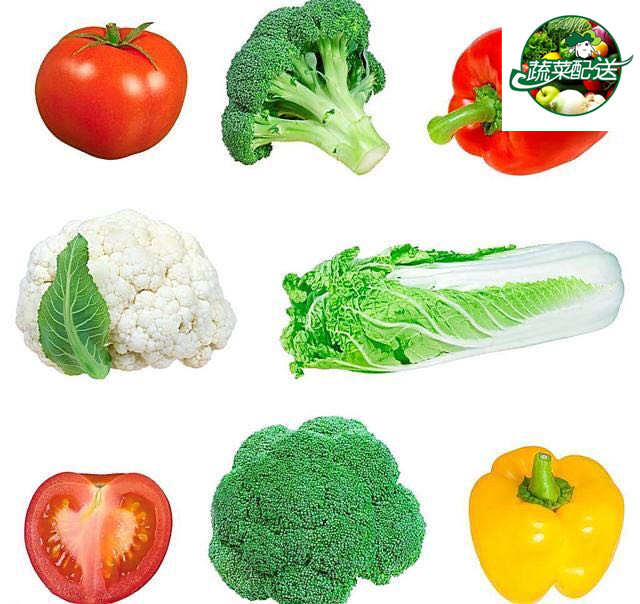 中堂蔬菜配送 品种多样