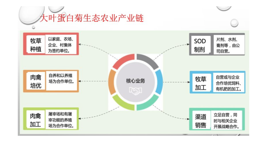 来宾蛋白菊养殖而经济效益,蛋白菊