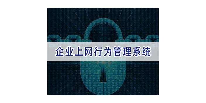 上海网络上网行为管控厂家,上网行为管控