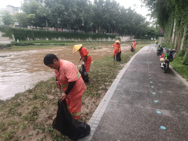 东莞景区河道治理案例 贴心服务 美居庭环境科技供应