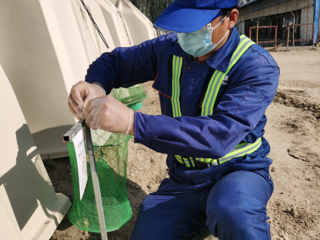 黑龙江白蚁内蒙古虫害消杀哪家强 欢迎来电 内蒙古润泽环保供应