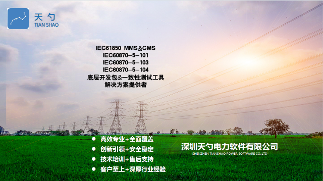 研发IEC61850CMS标准,IEC61850CMS